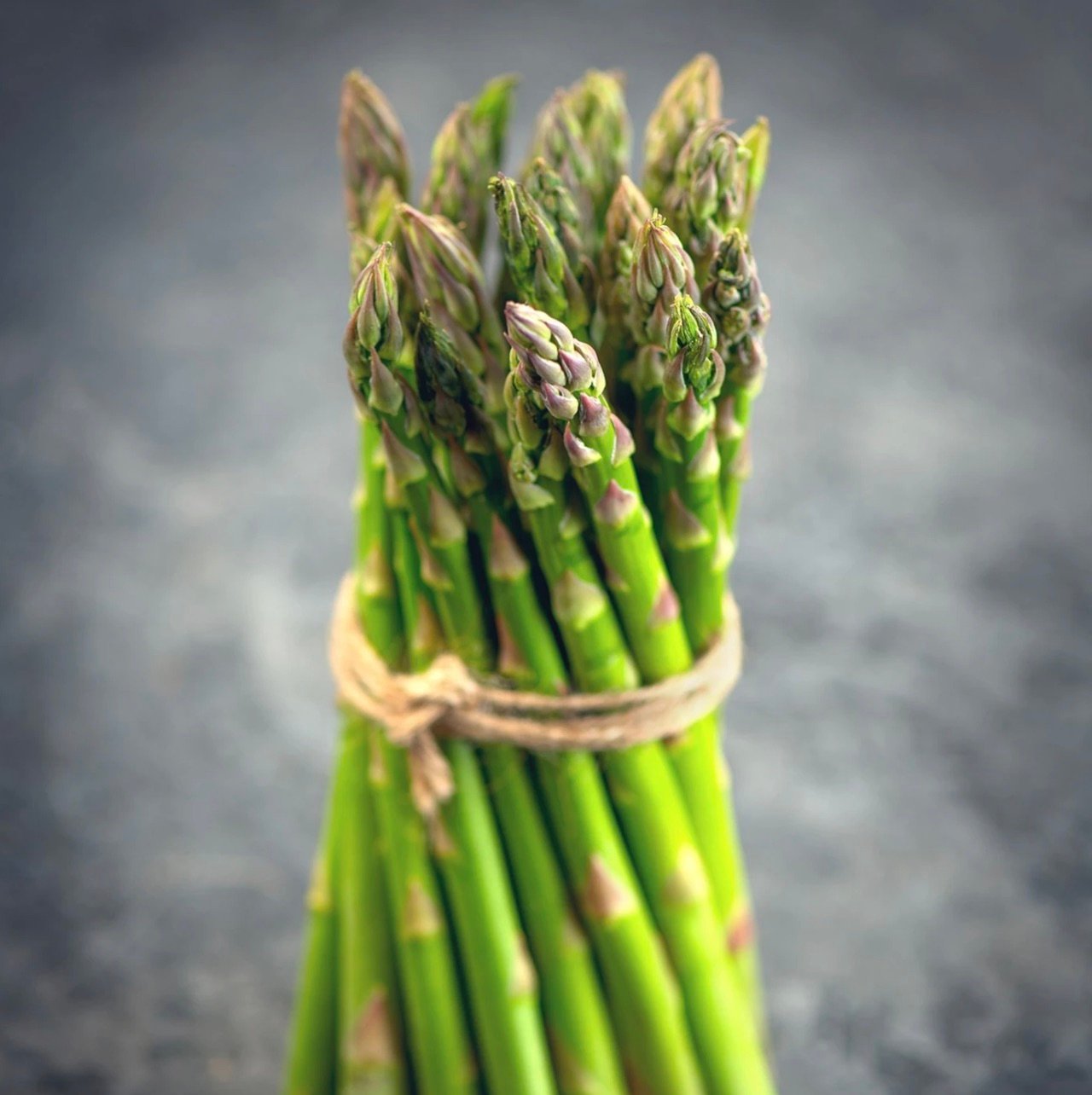 ASPARAGUS 「#1 / モメント」 Asparagus, Mary Washington Seed Packets | Bentley Seeds